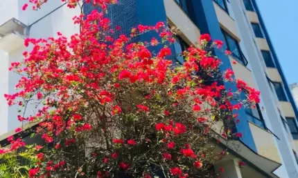 Apartamento com 2 quartos à venda na Rua Cláudio Manoel da Costa, 189, Canela, Salvador