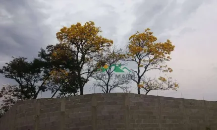 Terreno à venda, 1100 m² por R$ 220.000 - Parque das Garças - Guaratinguetá/SP