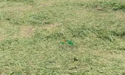 Terreno à venda, 293 m² por r$ 270.000 - vila indiana - guaratinguetá/sp