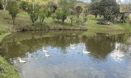 Sítio com 7 dormitórios à venda, 140000 m² por R$ 2.200.000,00 - ESTRADA GUARÁ X CUNHA - Cunha/SP