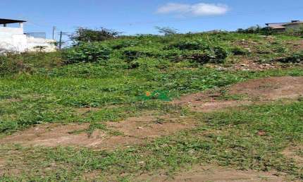 Terreno à venda, 1000 m² por R$ 350.000,00 - Barranco Alto - Guaratinguetá/SP