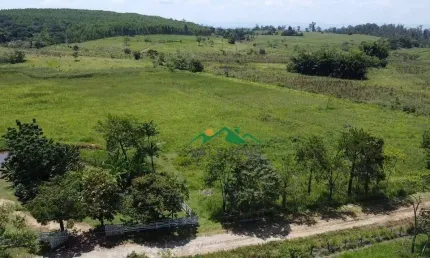 Chácara à venda, 10000 m² por R$ 165.000,00 - Colônia do Piaguí - Guaratinguetá/SP