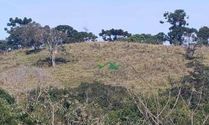 Terreno à venda, 35000 m² por R$ 1.000.000 - Zona Rural - Cunha/SP