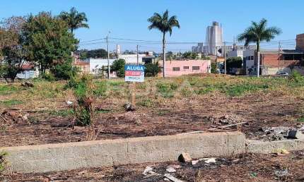 Excelente Terreno/Lote para Alugar na República, Ribeirão Preto