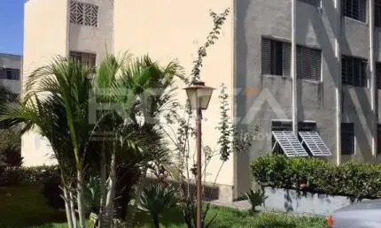 Lindos apartamentos à venda e locação na vila virgínia, ribeirão preto