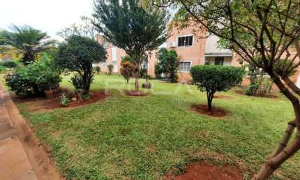 Apartamento Padrão para Alugar em Campos Elíseos, Ribeirão Preto