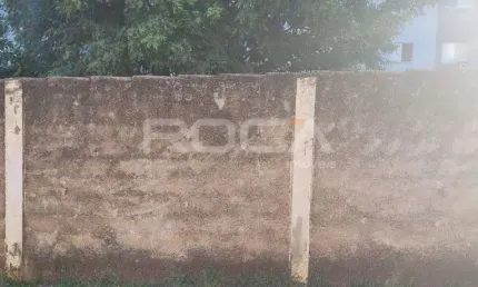Oportunidade imperdível: Terreno padrão à venda no bairro Monte Alegre, Ribeirão Preto.