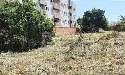Terreno comercial ou residencial à venda no bairro Ipiranga, em Ribeirão Preto.
