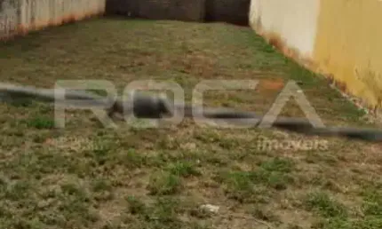 Terreno para Alugar no Bairro Monte Alegre, Ribeirão Preto