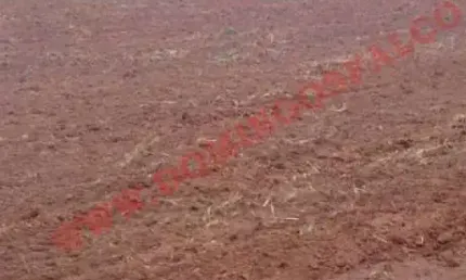 Fazenda à venda na Área Rural de Artur Nogueira, Artur Nogueira 