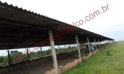 Fazenda à venda no Loiolas, Limeira 
