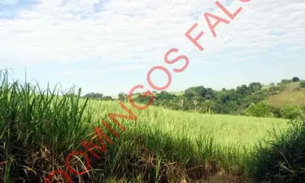 Fazenda à venda em Tupi, Piracicaba 