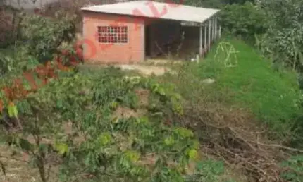 Chácara / sítio à venda no Jardim da Balsa, Limeira 