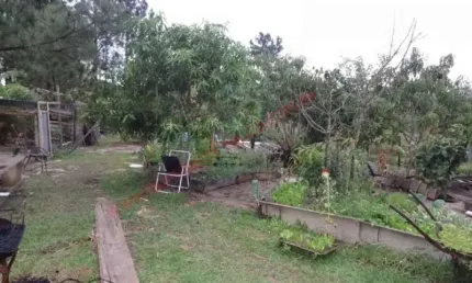 Chácara / sítio à venda no Bairro do Porto, Limeira 