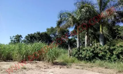 Chácara / sítio à venda no Campestre, Piracicaba 