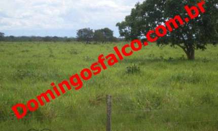 Fazenda à venda na Zona Rural, São Félix do Araguaia 