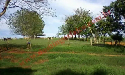Fazenda à venda na Zona Rural, Minduri 