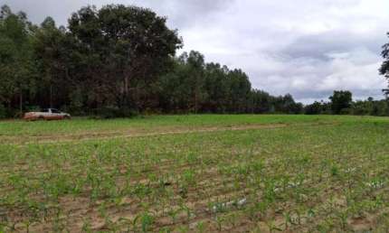 Fazenda à venda na Zona Rural, São Gonçalo do Pará 