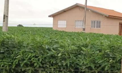 Fazenda à venda no Zona Rural, Ivaté 