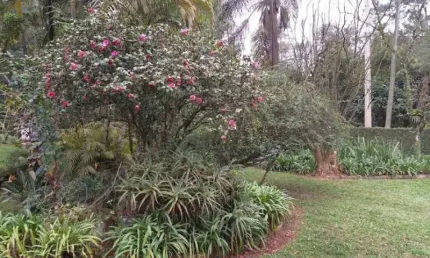 Fazenda à venda no Tatetos, São Bernardo do Campo 