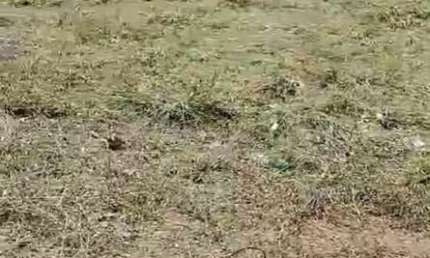 Fazenda à venda no Jardim Flamboyant, Mogi Mirim 