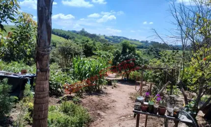 SITIO - VENDE-SE - BAIRRO DOS PIRES - LIMEIRA/SP Venda BairrodosPires Limeira/SP