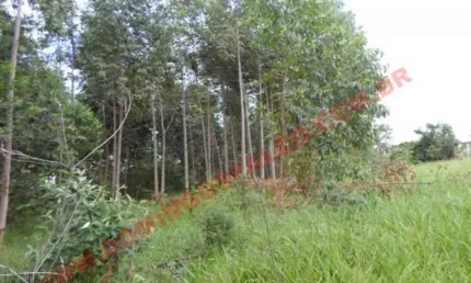 Fazenda à venda no Jardim Nova Limeira, Limeira 