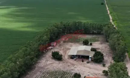 Fazenda à venda na Zona Rural, Bom Jesus 