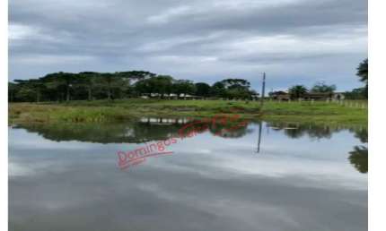 Fazenda à venda no Centro, Guarapuava 