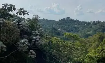 Terreno em condomínio fechado à venda na draco, alphaville, santana de parnaíba por r$ 1.542.000