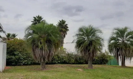 Terreno em condomínio fechado à venda na Alameda Morea, 628, Tamboré, Santana de Parnaíba por R$ 6.500.000