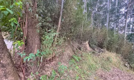 Terreno em condomínio fechado à venda na avenida andradina, 370, residencial tamboré, barueri por r$ 3.200.000