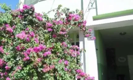 Casa com 2 quartos à venda na Rua Mauricina, 244, Vila Romana, São Paulo por R$ 1.390.000