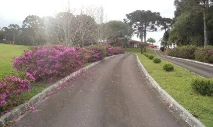 Terreno à venda, 116000 m² por R$ 7.800.000,00 - Jardim Diamante - Campina Grande do Sul/PR
