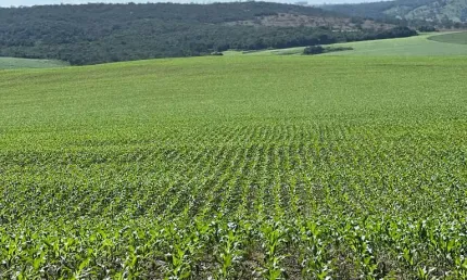 Fazenda de 179 alqueires em lavoura irrigada e pecuária