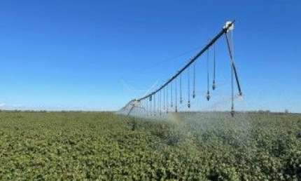 Fazenda altamente produtiva com mais de 1000 alqueires a venda  em Goiás