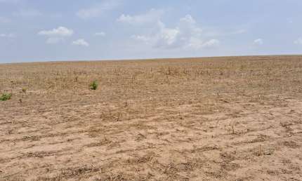 Fazenda com 2 salas à venda na Avenida B, 1, Zona Rural, Caldas Novas