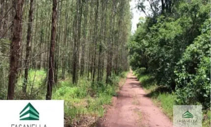Fazenda à venda na Zona Rural, São Simão 