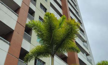 Apartamento com 2 quartos à venda na Rua Professor Samuel Benchimol, 543, Parque 10 de Novembro, Manaus