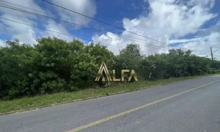 Terreno à venda, 8100 m² por r$ 8.500.000,00 - centro - penha/sc