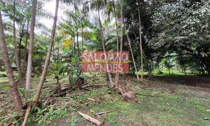 Terreno à venda/locação 35000M², Rodovia do Tapanã px a Augusto Mointeegro