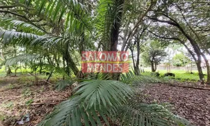 Terreno à venda/locação 35000M², Rodovia do Tapanã px a Augusto Mointeegro