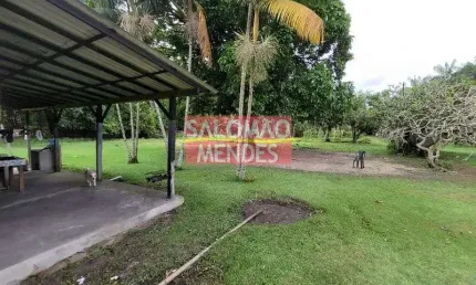 Terreno à venda/locação 35000m², rodovia do tapanã px a augusto mointeegro