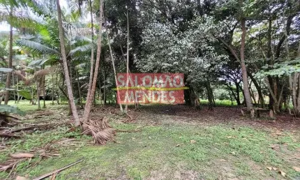Terreno à venda/locação 35000m², rodovia do tapanã px a augusto mointeegro