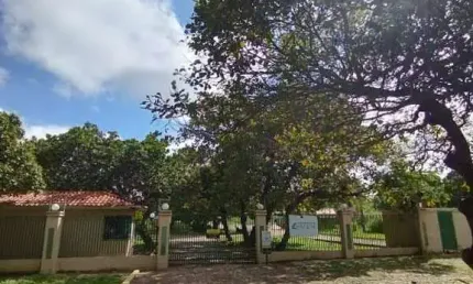 Casa com 3 quartos para alugar na Rodovia BR-343, Novo Uruguai, Teresina
