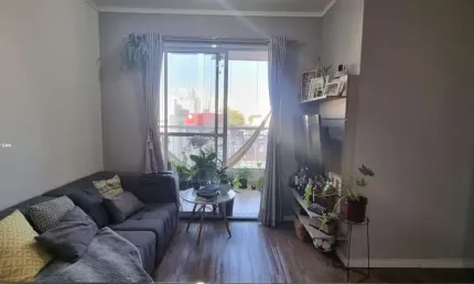 Apartamento para venda em são paulo, cambuci, 3 dormitórios, 1 suíte, 2 banheiros, 1 vaga