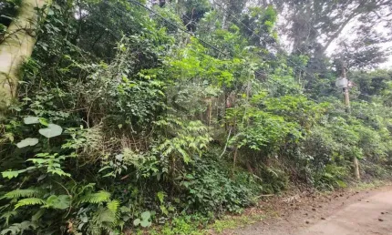 Terreno a venda no rivieira paulista em são paulo - sp