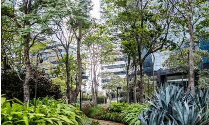 Conjunto Comercial para Locar no Rochaverá em São Paulo - SP