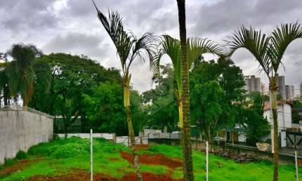 Terreno a Venda para Empreendimento no Jardim Prudência em sp