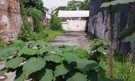 Terreno à venda na Avenida Conselheiro Nébias, Paquetá, Santos
